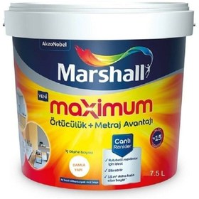 Resim Marshall Maximum Silikonlu Ipek Mat Lokum 7,5 Lt. (10 Kg) 