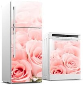 Resim Buzdolabı Ve Bulaşık Makinesi Takım Sticker 0166 