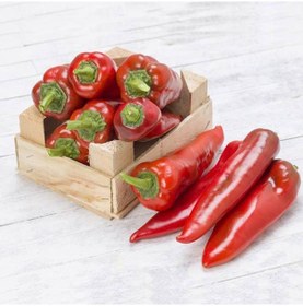 Resim Burkap Yağlık Tombul Kapya Biber Tohumu 20 Tohum 1 Set 