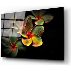 Resim Miyrem Glasses Collection -a1^ Renkli Çicek Cam Tablo 