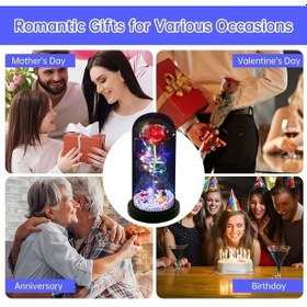 Resim Novahub Kadınlar İçin Işıklandırılmış Gül Çiçeği Hediyeleri, Akrilik Kubbe, Anneler Günü, Yıldönümü, Noel, Sevgililer Günü, Beyaz Renk 16renk Şarj Edilebilir 