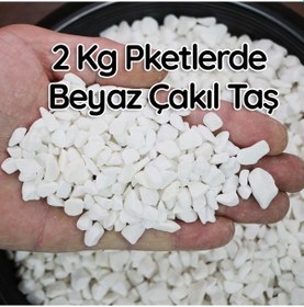 Resim 2 Kg Beyaz Çakıl Taşı Teraryum Terarium Fanus Çakıl Taşı Dekorat 