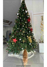 Resim Yılbaşı Ağacı 300 Cm 1750 Dal 