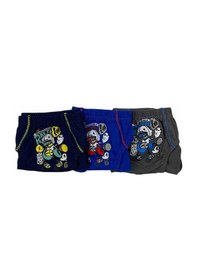 Resim 0138 Erkek Çocuk Renkli Slip Külot 6 Adet KARIŞIK RENK 