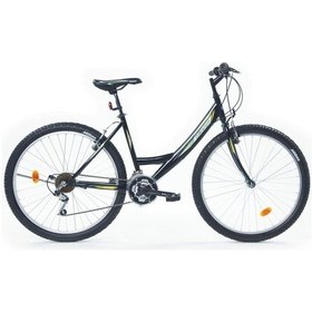 Resim Bisan Mts 4100 26 Jant 21 Vites Bayan Dağ Bisikleti Siyah / Yeşil 44cm Kadro Siyah - Yeşil 