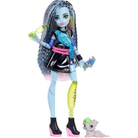 Resim Monster High Ana Karakter Bebekler Frankie Stein JHK31 