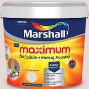 Resim Marshall 90RR 73/027 2,5 Litre Maximum Su Bazlı Silikonlu İpek Mat İç Cephe Boyası (MARSHALL.5309483) 