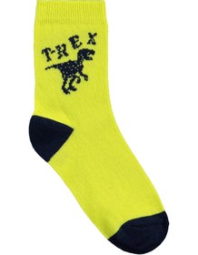 Resim Civil Boys T-Rex 3'lü 2-12 Yaş Erkek Soket Çorap - Standart / 8-9 Yaş 