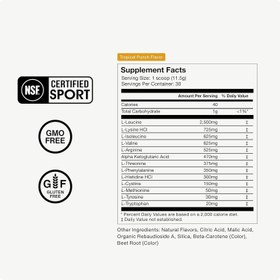 Resim Momentous Vital Aminos Powder BCAA & EAA NSF Certified for Sport - GMO- & Gluten-Free - 30 Servings 