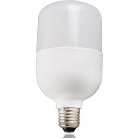 Resim Genel Markalar 50W TORCH AMPUL 