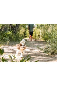 Resim Hype Store Chuckit! Ultra Ball 2'li Köpek Oyun Topu (Küçük Boy) 