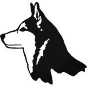Resim Wolf (Oto-Motor-Laptop-Duvar-Dekor) 20 x 18 cm 