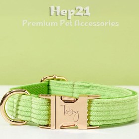 Resim Dog Collar Named Light Green Collar 446519 - 4pcs set / S 
