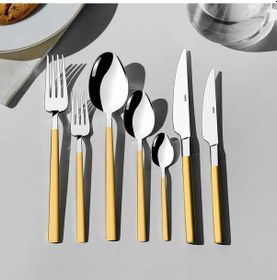 Resim Nehir Dalyan Altın Saten 12 Kişilik 84 Parça Deri Kutulu Çatal Kaşık Bıçak Takımı 