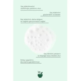 Resim Mena Rise Cosmed Sülfatsız, Tuzsuz Saç Dökülmesine Karşı Serum 