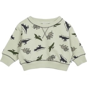 Resim Dinazorların Macerası Sweatshirt - BEBEK / Yeşil / 0-3 Ay 