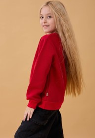 Resim Kız Çocuk Bisiklet Yaka Kurabiye Nakışlı Sweatshirt - Gri Melanj / 12-13 Yaş 