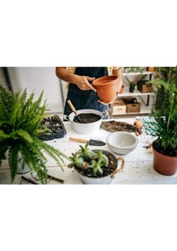 Resim İÇ MEKAN BİTKİLERİ TOPRAĞI 5 LT - 7'Lİ ÖZEL KARIŞIM(Akıllı Gübre 
