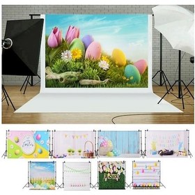 Resim Pazly Paskalya Temalı Bebek Fotoğrafçılığı Polyester Farklı Boyutlu Arka Plan 
