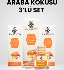 Resim Dekoratif Araç Oto Kokusu 3 Lü Set Mango Dünyası 