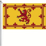 Resim 1 adet İskoçya Yaygın Aslan Bayrağı - Çift Taraflı 91.44x152.4cm Polyester, Canlı Sarı ile Kırmızı ve Mavi Vurgular, Dayanıklı ve Yeniden Kullanılabilir - İç ve Dış Dekorasyon için Mükemmel, Ulusal Gurur Gösterisi | Geleneksel İskoç Tasarımı | Hava Koşullarına Dayanıklı Kumaş 