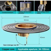 Resim 1 Adet Hızlı Drenaj Zemin Drenaj Lavabo Süzgeci Shobackgeri Akış Önleyici Black-copper Core 