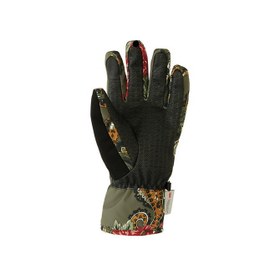 Resim DC Franchise Su Geçirmez Kadın Kayak/Snowboard Eldiveni 