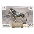 Resim Animal World Zebra 