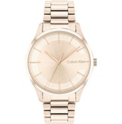 Resim Calvin Klein Ck25200042 Unisex Kol Saati Gri 