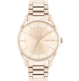 Resim Calvin Klein Ck25200042 Unisex Kol Saati Gri 