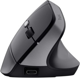 Resim Trust TM-270 Ergonomik Kablosuz Mouse - Siyah 