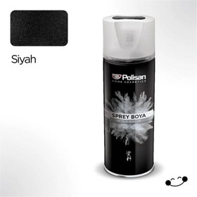 Resim Polisan Siyah Sprey Boya (97603590410) 