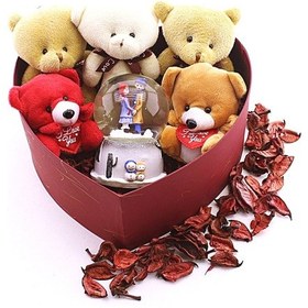 Resim Sevgiliye Hediye Özel Kalp Kutu İçinde Kar Küresi ve Yavru Ayıcıklar Hediye Kutusu 