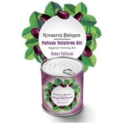 Resim Adataque adatak® Konserve Bahçem Evde Konservede Kemer PatlıcanYetiştirme Kiti 