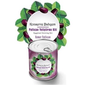 Resim Adataque adatak® Konserve Bahçem Evde Konservede Kemer PatlıcanYetiştirme Kiti 