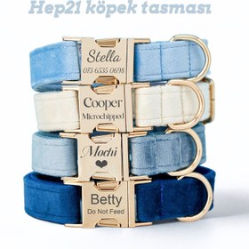 Resim Dog Collar Named Sky Blue Velvet Collar 595658 - 4pcs set / L 