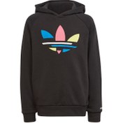 Resim adidas Giyim Sweatshirts Hoodie 