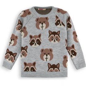 Resim Denokids Ayı Rakun Gri Triko Kazak Erkek Çocuk Bisiklet Yaka Casual Stil 