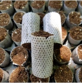 Resim 832 Adet Paper Pot( 8 Viyol )Hızlı Çimlenme Sağlayan Tohum ve Çel 