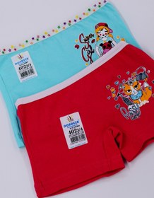 Resim Dondeza Kız Çocuk Baskılı Likralı Ikili Boxer 