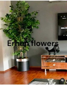 Resim Yapay Agaç 200 Cm Islak Doku Benjamin Darbuka Saksıda Yeşil 