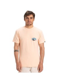 Resim Quıksılver Quiksilver Ev Flower Chaos Erkek Pembe Tişört Mef0 Çok Renkli 