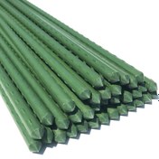 Resim 30 adet Ağır Hizmet Tipi Yeşil Bitki Destek Çubukları - Dayanıklı Plastik ve Paslanmaz Çelik, Domates, Biber ve Üzüm için İdeal, Çok Yönlü Sebze ve Çalı Büyümesi Yardımcıları - Kolay Kurulum, Bahçe Planter Aestetiklerini Yükseltir, Bahçe Destek Çubukları | Estetik Bahçe Geliştirme | Dayanıklı Bitki Destekleri, Bitki Destekleri 