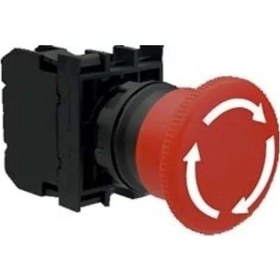 Resim Çetsan Sl-1873 22 Mm Kalıcı Start Butonu 