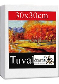 Resim Kare Yuvarlak Ve Altıgen Tuval 30 Cm 1 Paket 30x30 Cm Arkadan Zımbalı Astarlı Resim Tuvali Akrilik Yağlı Boya Altıgen 