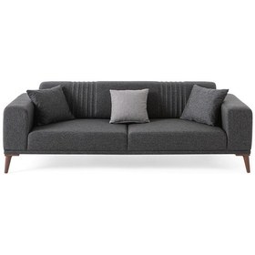 Resim Regnar 3+3 Koltuk Takımı Antrasit Antrasit 