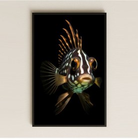 Resim Desenli Tropikal Balık Tasarımlı Minimal Şeffaf Pleksi Tablo 