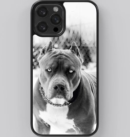 Resim Pitbull Dog Flexible Cam Kılıf 