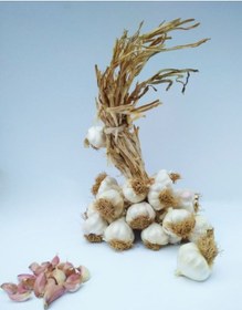 Resim Yörece Kastamonu Taşköprü Sarımsak Büyük Boy 1 KG 