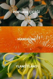 Resim ILLUSIONE FRAGRANCE Mirage Edp Kadın Parfüm 50ml | Çiçeksi-odunsu-kremsi | Portakal Çiçeği, Sümbülteber, Vanilya, Misk 